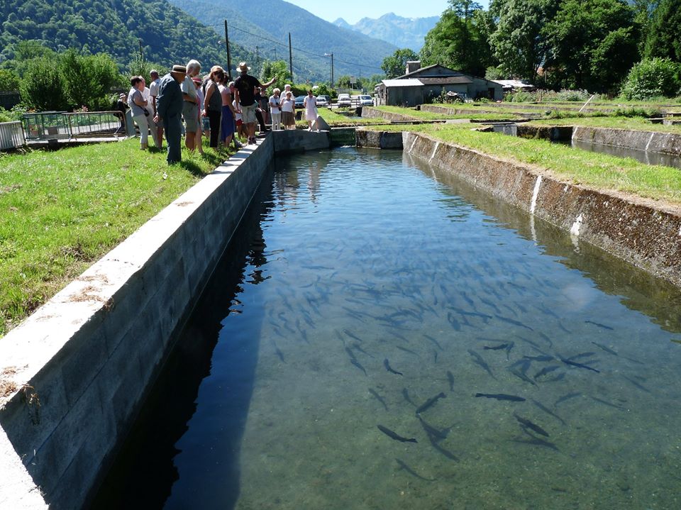 visite entre les bassins