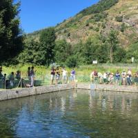 autour du bassin de pêche