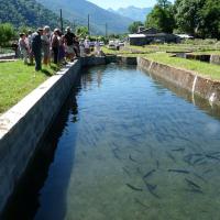 visite guidée entre les bassins