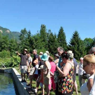 visite guidée